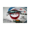 FAKE BAITS KEIMURA MARIA YAMASHITA 70mm 8.5g SINKING ABKH