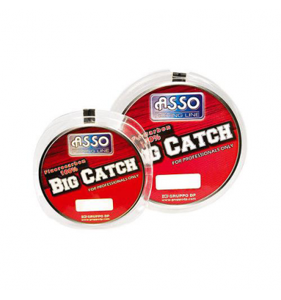 FLUOROCARBON ASSO BIG CATCH 50MT 0.80 CARICO 33KG